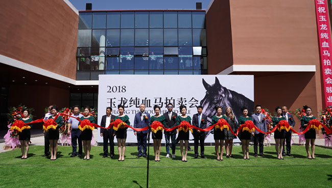 山西玉龍投資集團有限公司